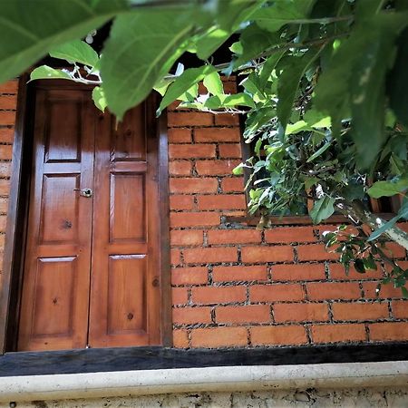 Habitacion Cabana Huapango #4 Pinal de Amoles Ngoại thất bức ảnh